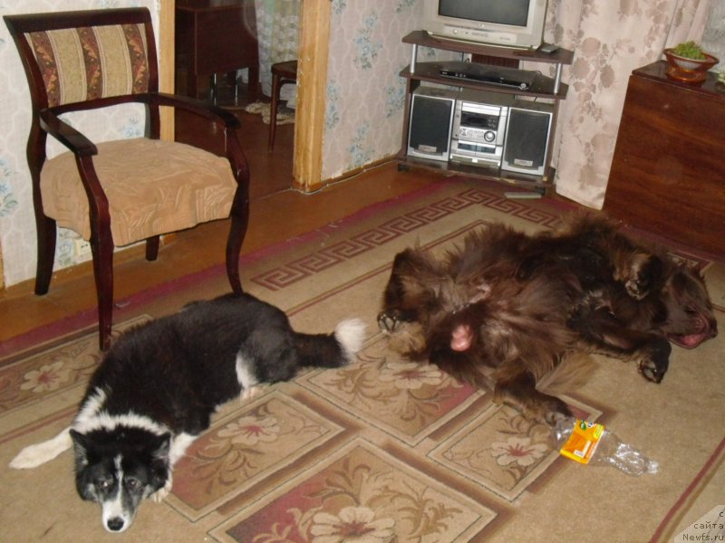 Фотография № 148955