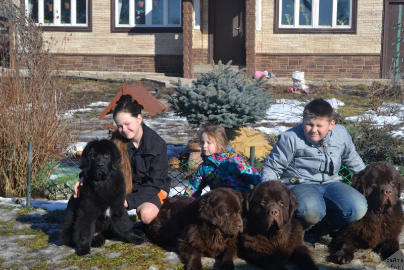 Фотография № 149020