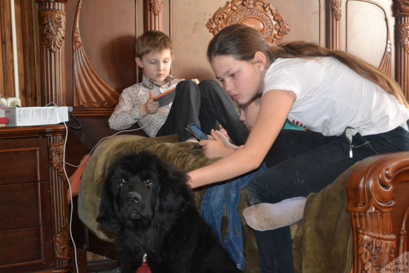 Фотография № 149022