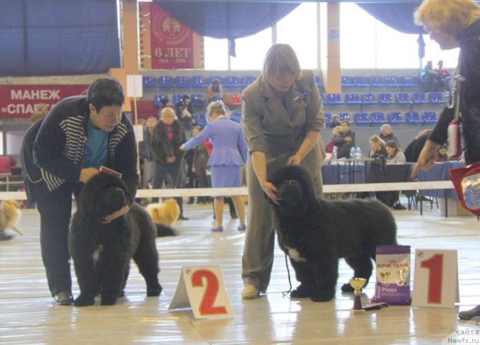 Фотография № 149064