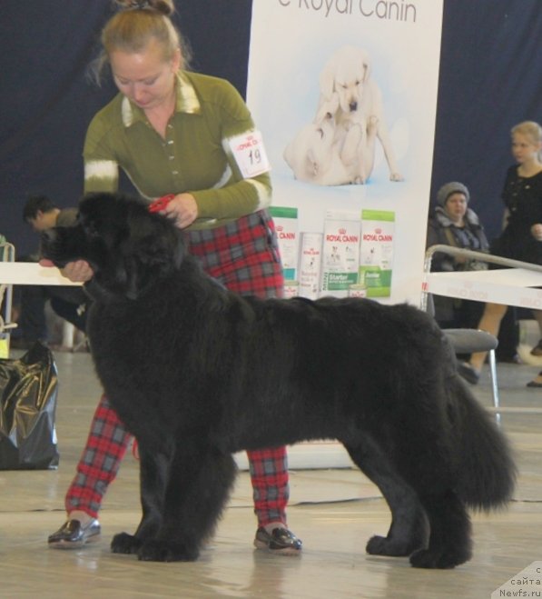 Фотография № 149065