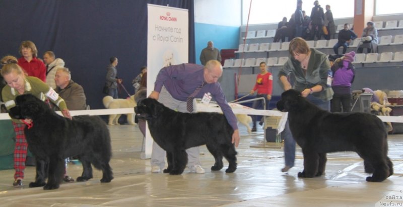 Фотография № 149068