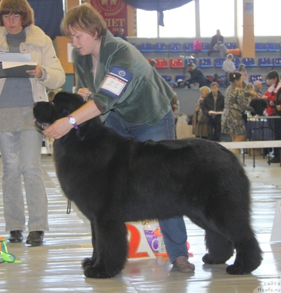 Фотография № 149070