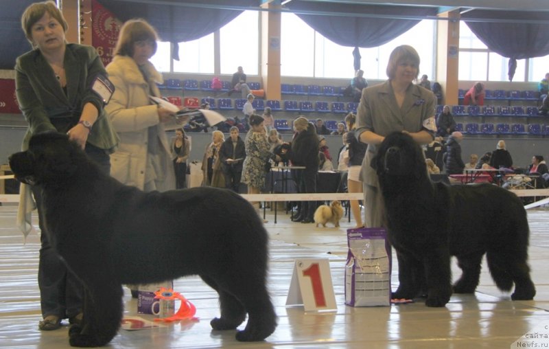 Фотография № 149071