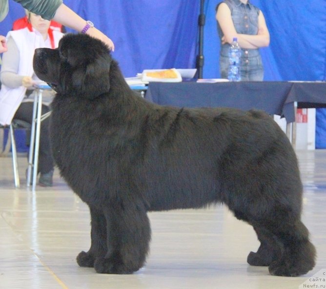 Фотография № 149072