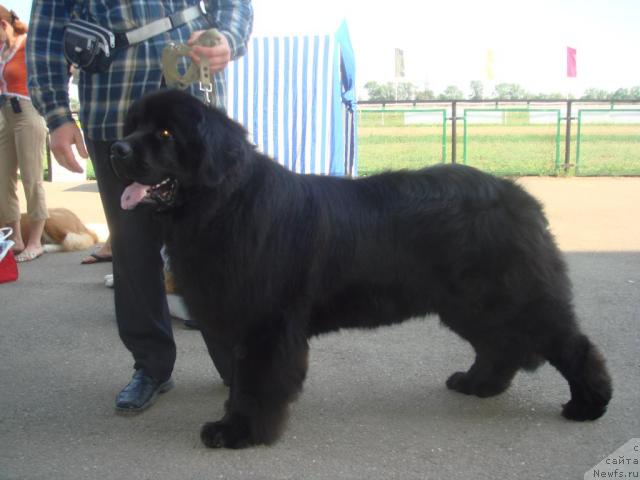 Фотография № 14909