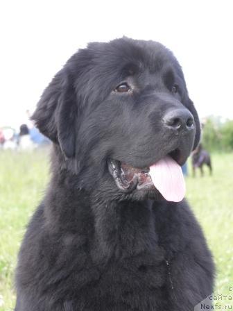 Фотография № 14910