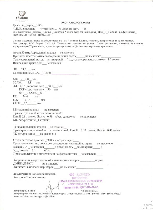 Фотография № 149112