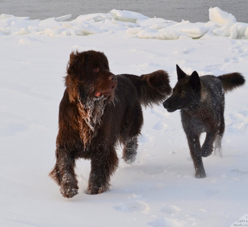 Фотография № 149117