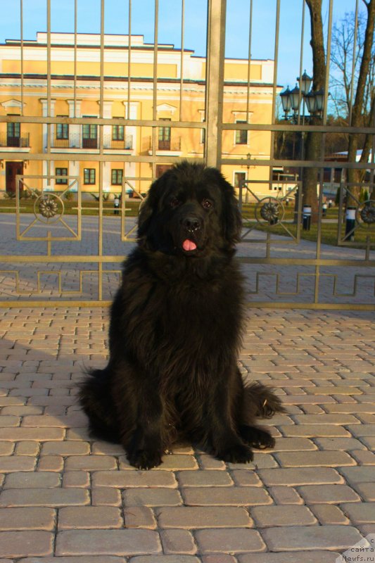 Фотография № 149135