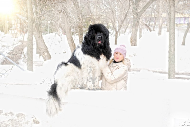 Фотография № 149142