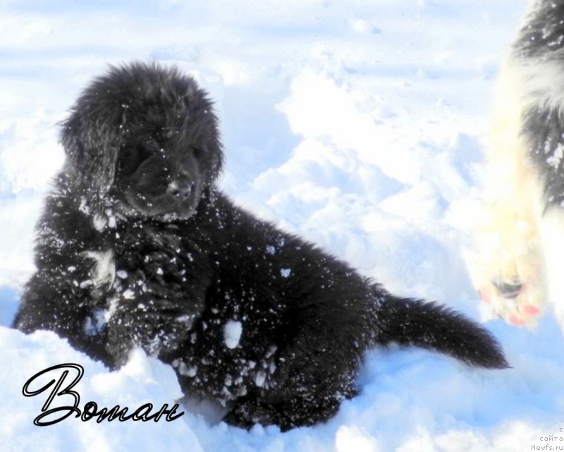 Фотография № 149145