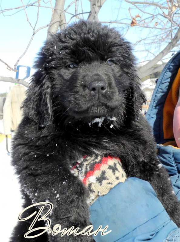 Фотография № 149146