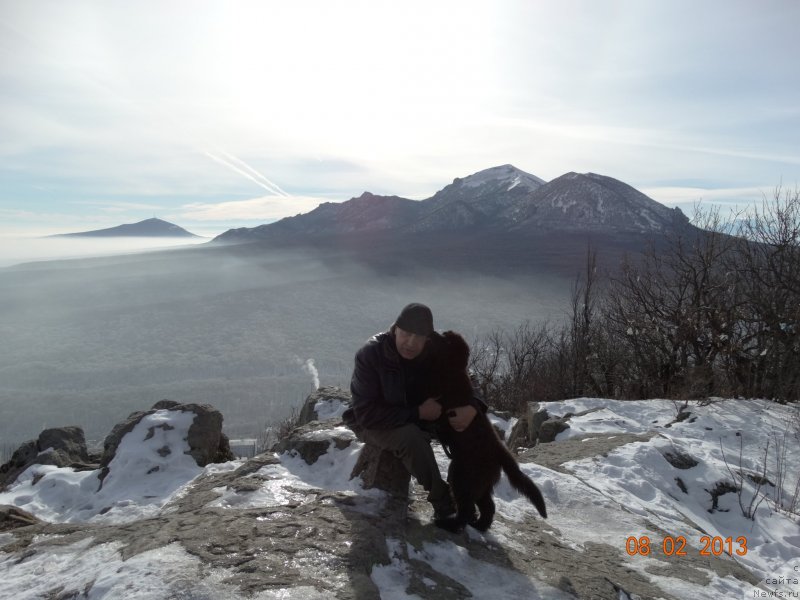 Фото: ньюфаундленд Жозефина