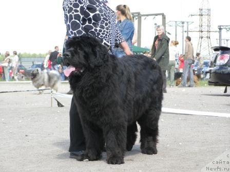 Фотография № 14920