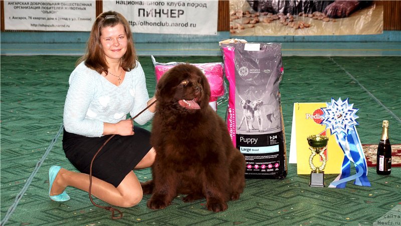 Фотография № 149202