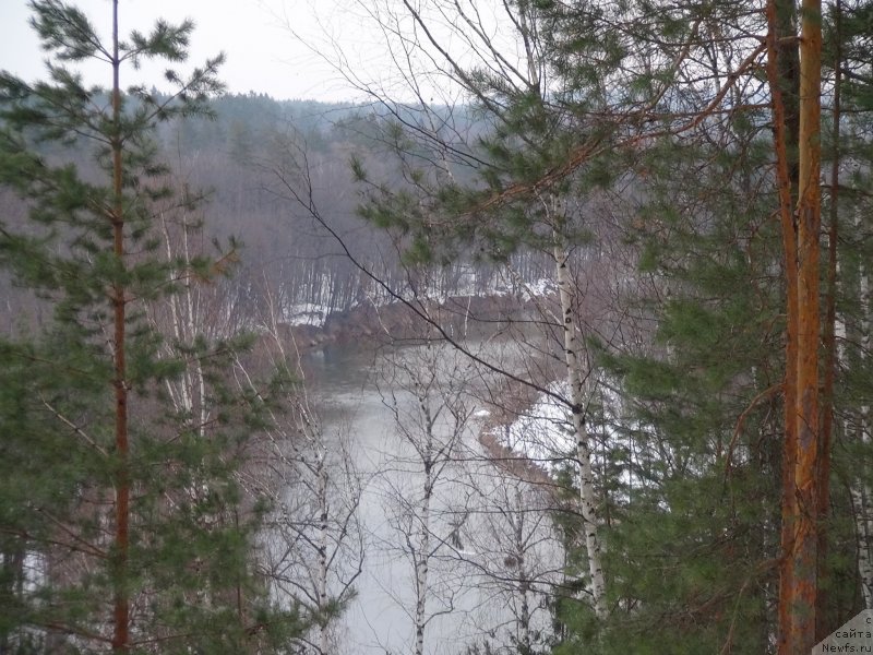 Фотография № 149253