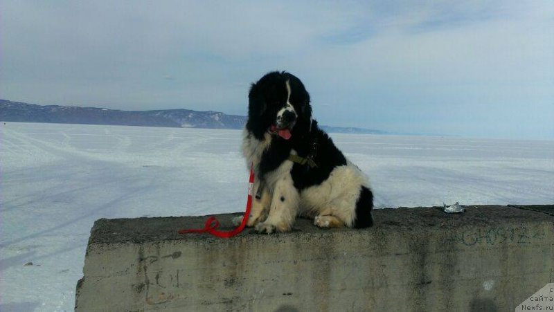 Фотография № 149308