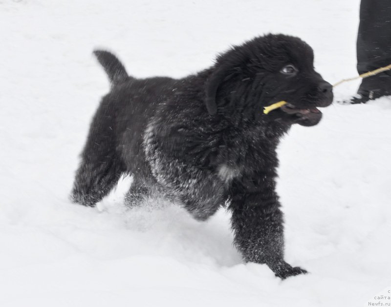 Фото: Бегущая по волнам Фрилансер