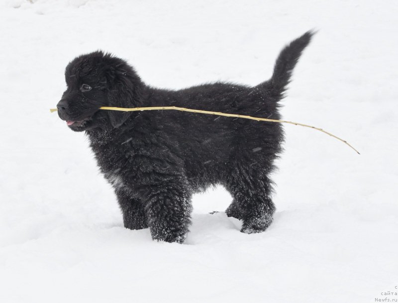 Фото: Бегущая по волнам Фрилансер