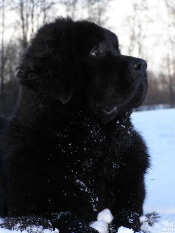 Фотография № 149342