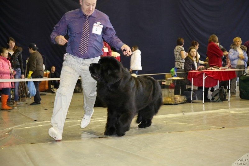 Фотография № 149368