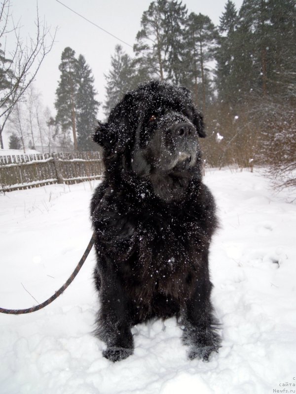 Фотография № 149371