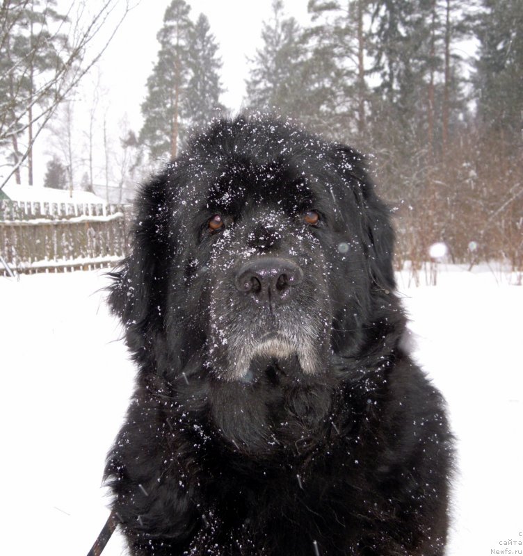 Фотография № 149372