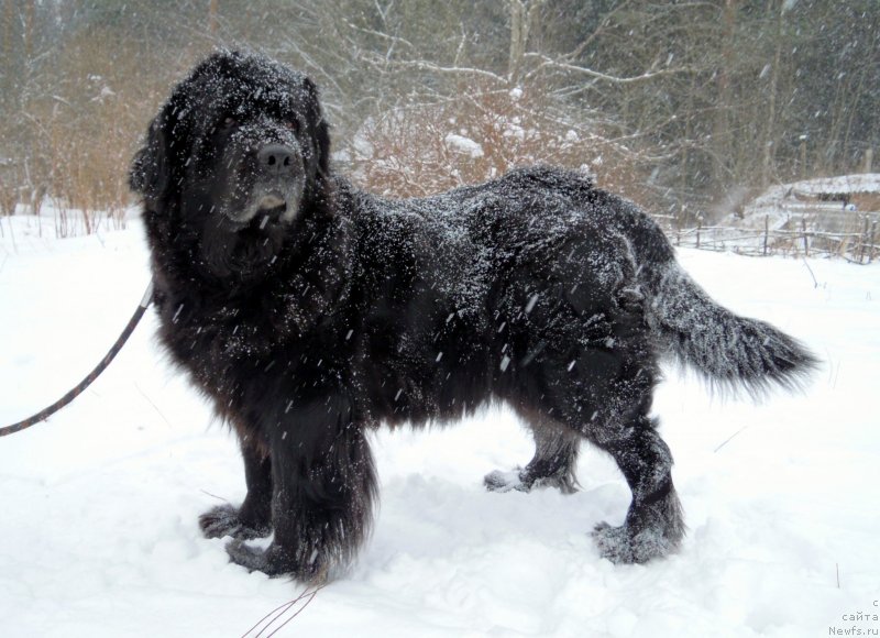 Фотография № 149373