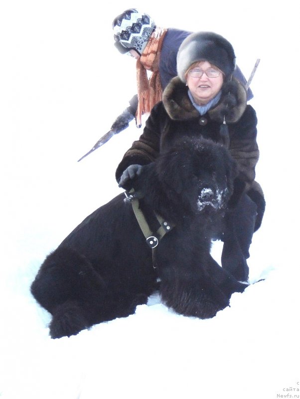 Фото: ньюфаундленд Би Перфект Арабелла, моя мамочка, мой старший сынок Миша