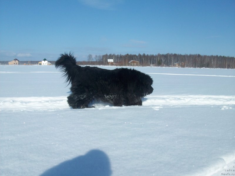 Фотография № 149389