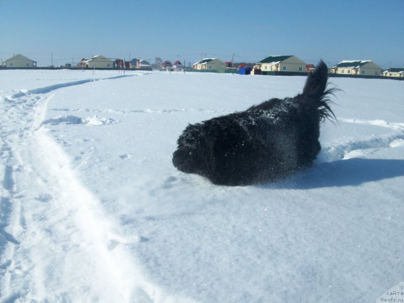 Фотография № 149393