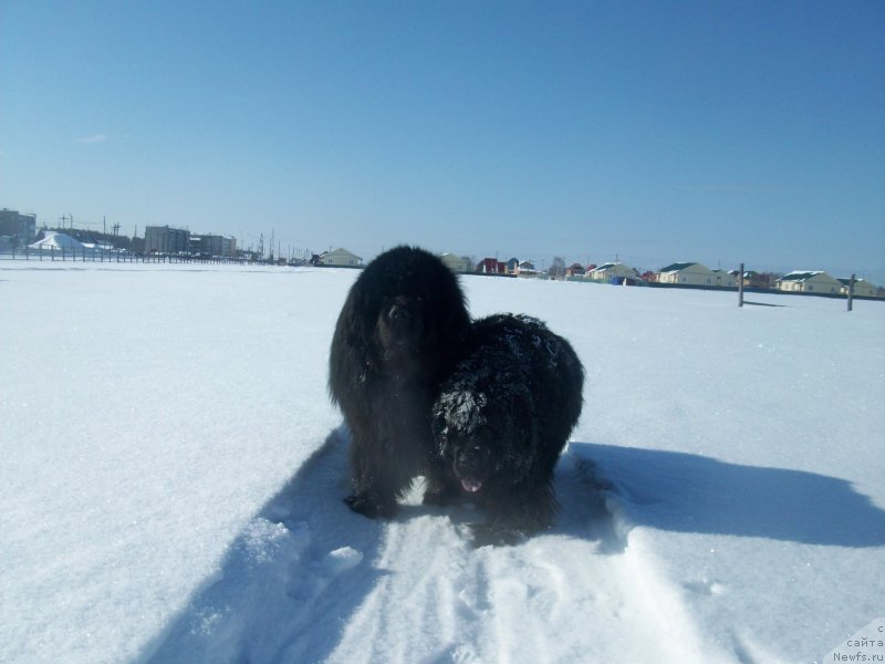 Фотография № 149395