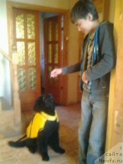 Фотография № 149407