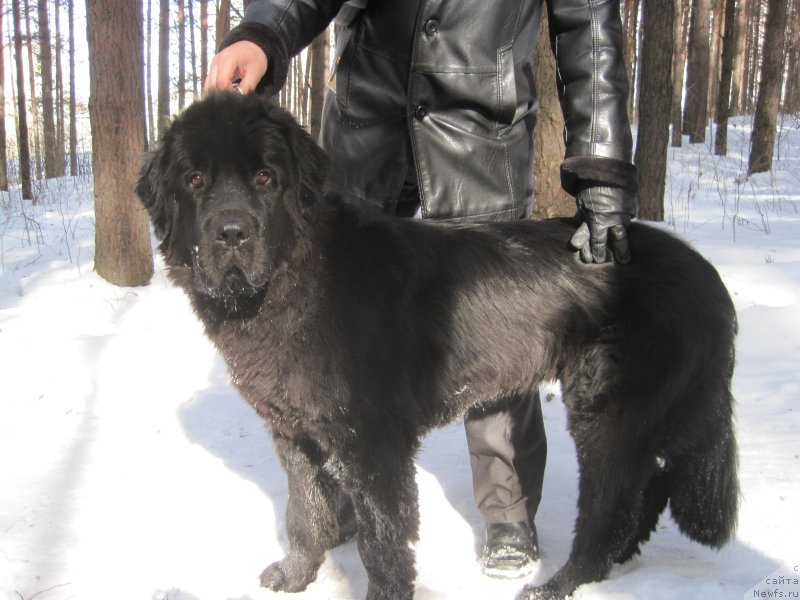 Фотография № 149420