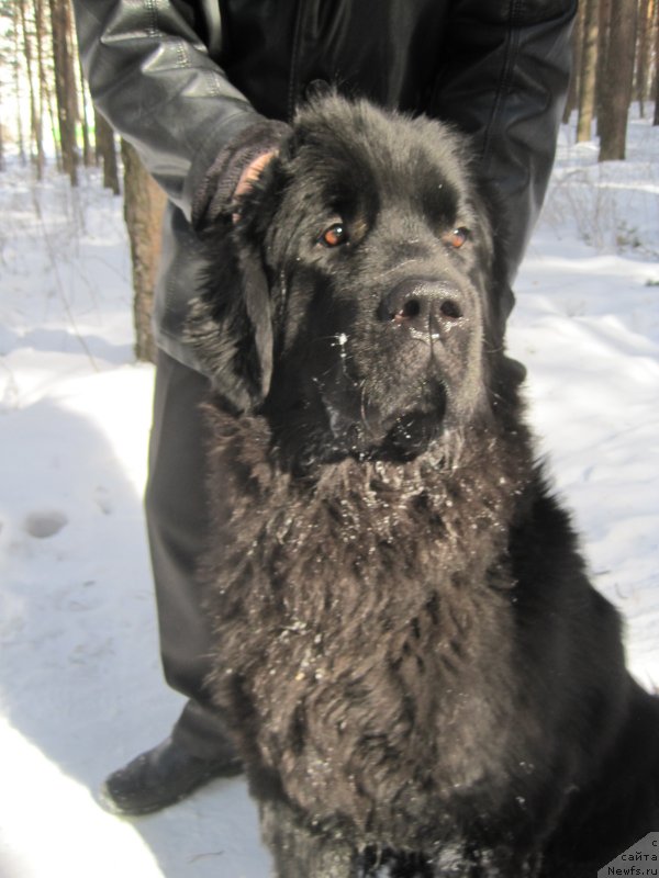 Фотография № 149421