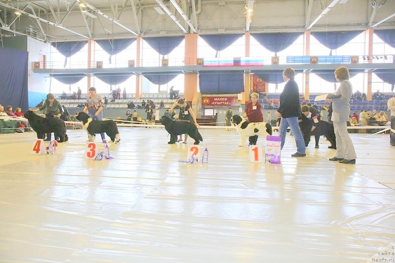 Фотография № 149495