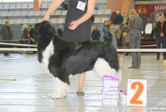 Фотография № 149497