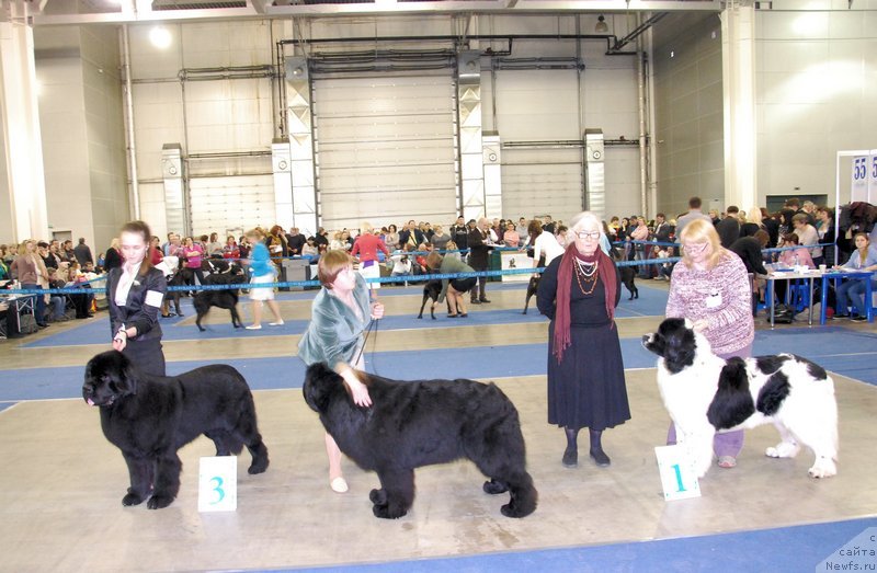 Фотография № 149523