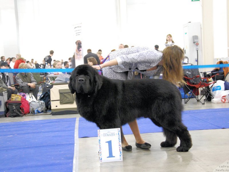 Фотография № 149526