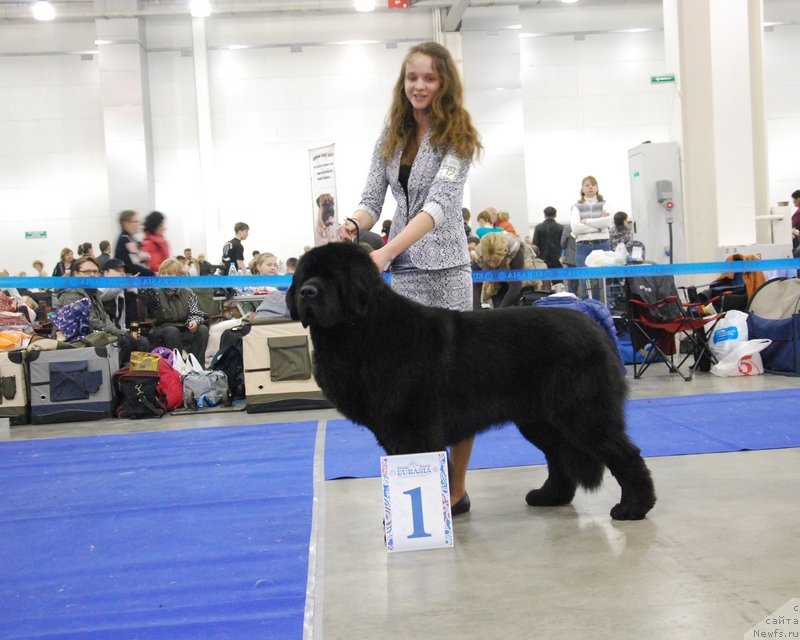 Фотография № 149527