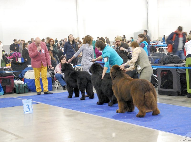 Фотография № 149528