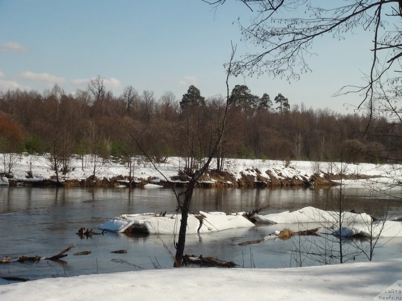 Фотография № 149581