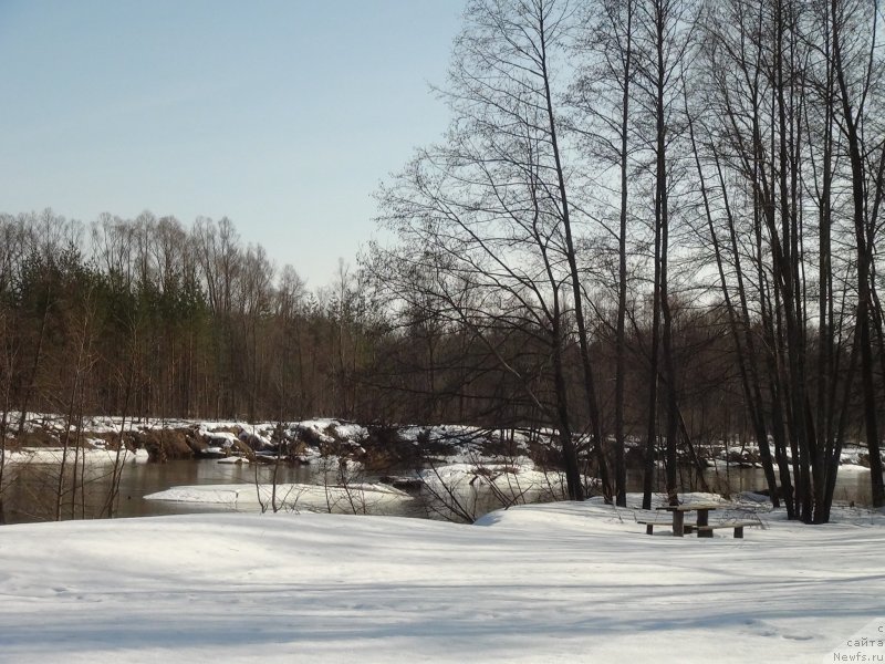 Фотография № 149582