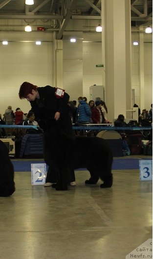 Фотография № 149588