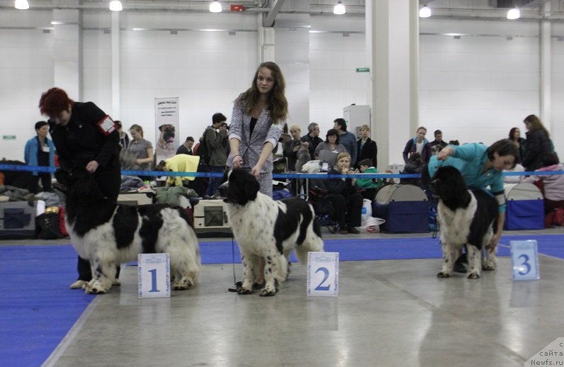 Фотография № 149589