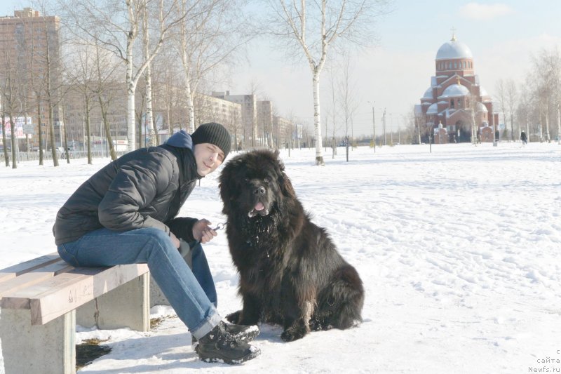 Фото: ньюфаундленд Бегущая по Волнам Есперанто Етуло Чуи