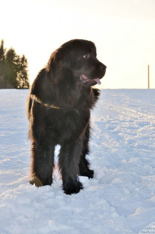 Фотография № 149635