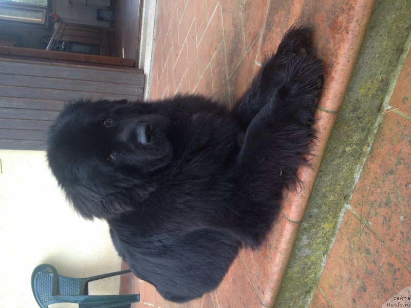 Фото: Сюзанна Герасименко