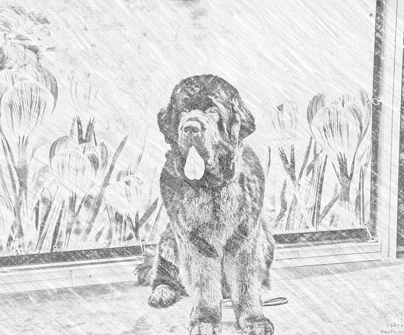 Фотография № 149670